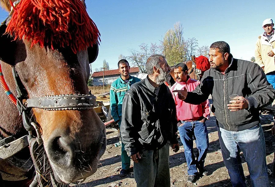 На Банго Васил кмет дарява роми с петел
