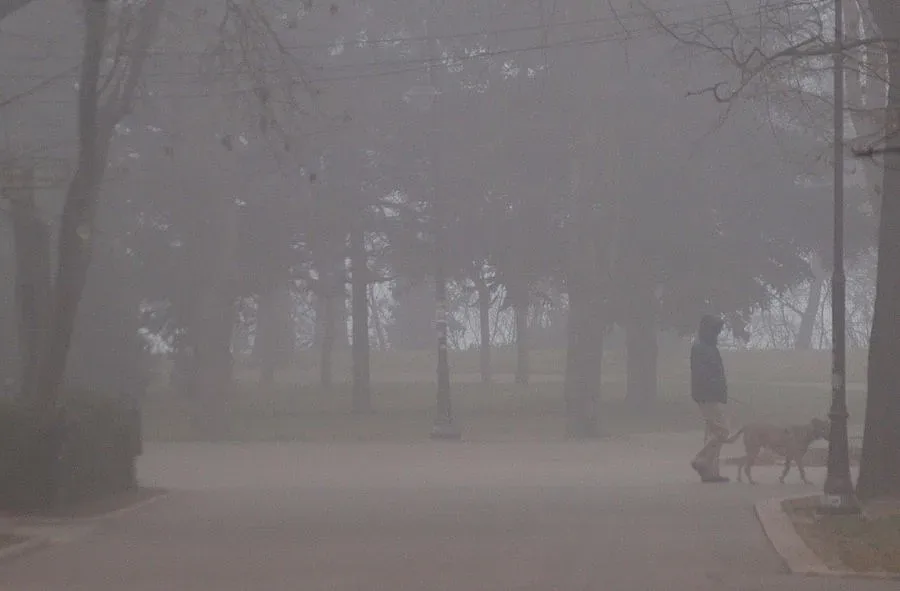 Жълт код за мъгла в 24 области в страната