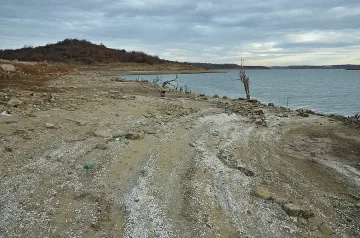 Учени намериха цаката на мидата „зебра"