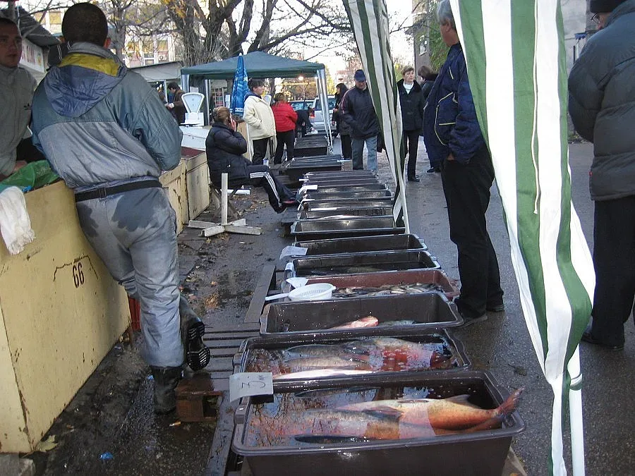 Започва кампания за популяризиране на ползата от рибата