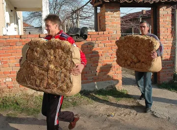 Тютюнджии в Неврокопския край се стягат за протести