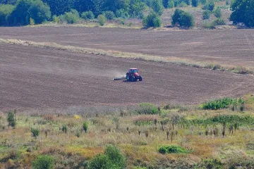 Чакат сняг заради пшеницата