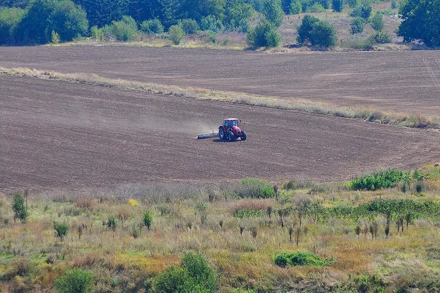 Чакат сняг заради пшеницата