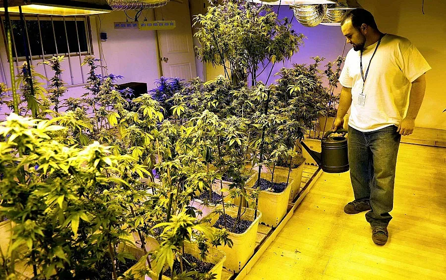 Ски с марихуана в Колорадо