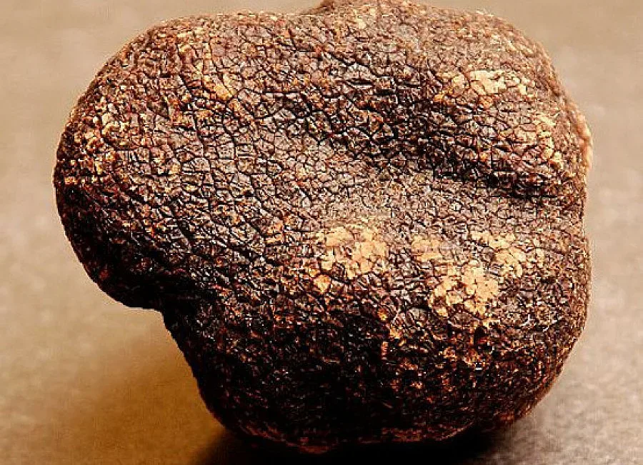 Аромат на трюфели