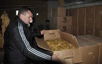 В Аврен 200 тона тютюн стоат на склад, хората без доходи