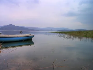 Бончев без откуп, фондацията фалира