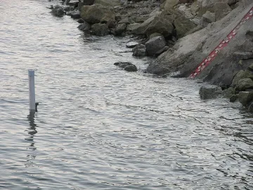 Унищожават навигационни знаци по Дунав