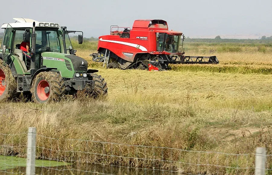 Даваме нивите си на образовани чужденци