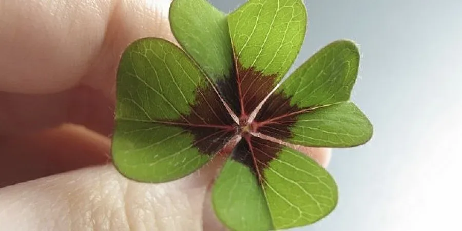 Да се разминеш с късмета