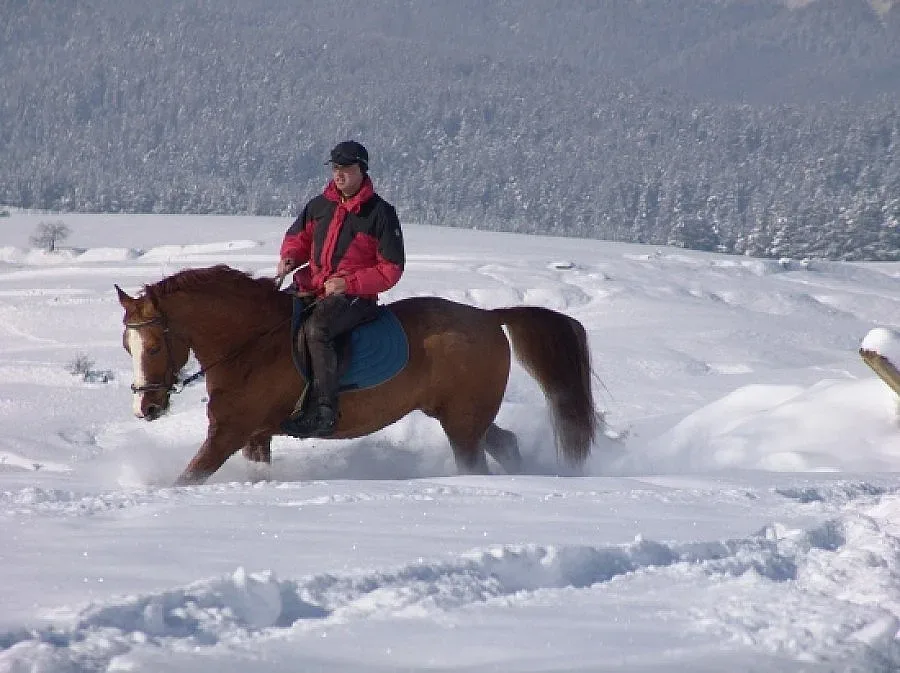 Чужденци атакуват разложко село заради езда на коне