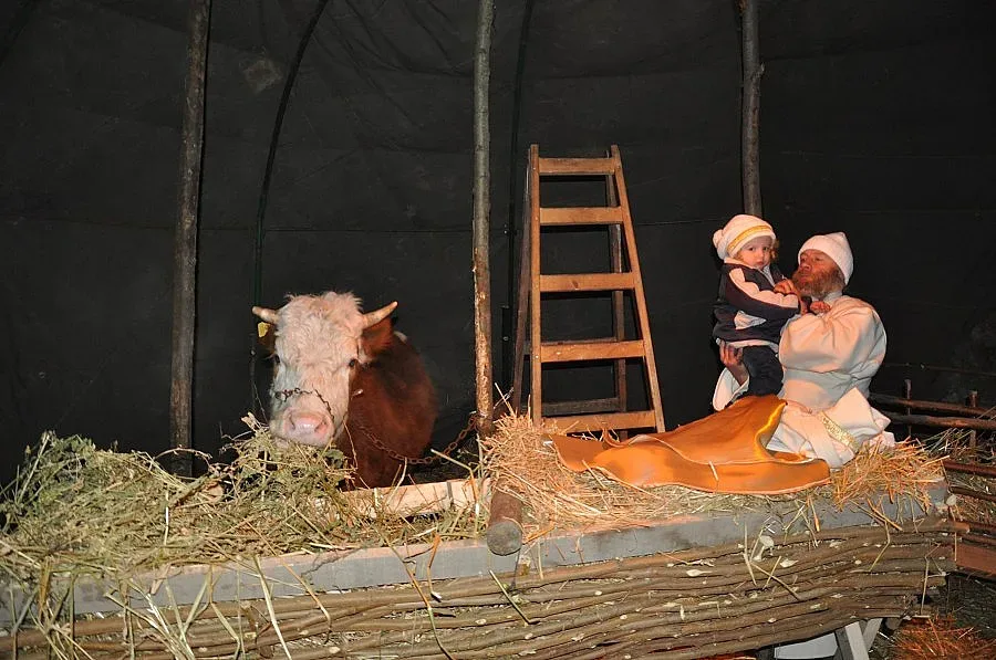 Исус се роди във Видин