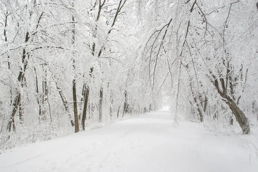 Без сняг по Коледа и Нова година