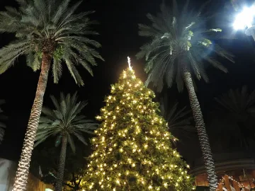 Коледа в Маями