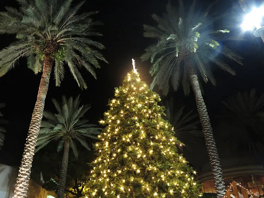 Коледа в Маями