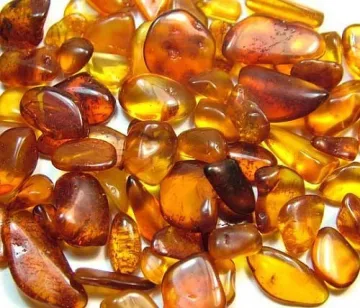 Намериха скривалище с кехлибар за 22 млн. евро