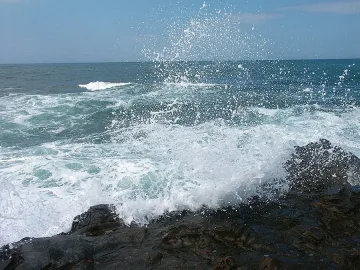 Мъгла затвори пристанище Варна