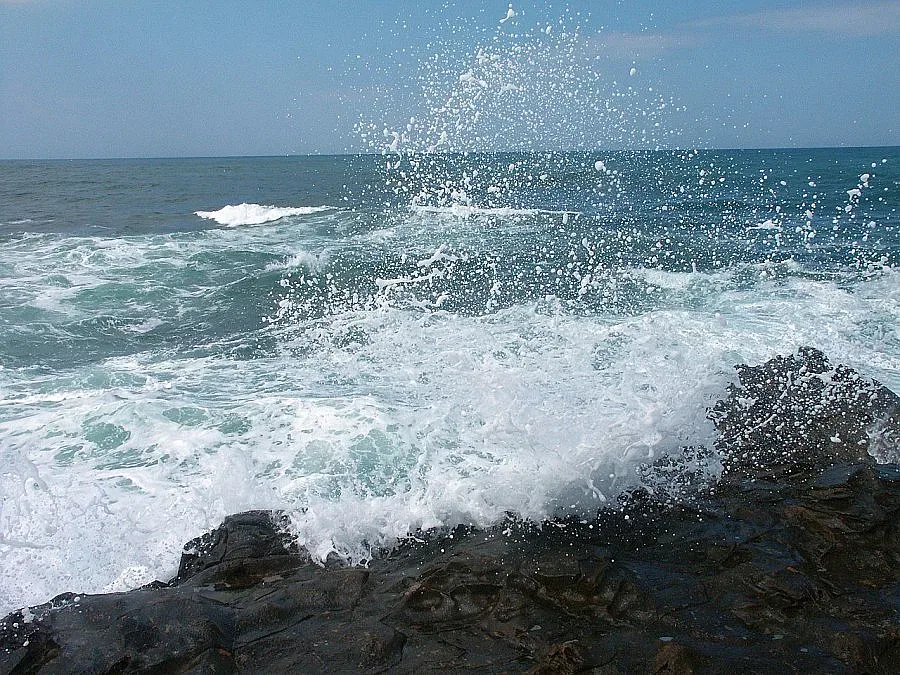 Мъгла затвори пристанище Варна
