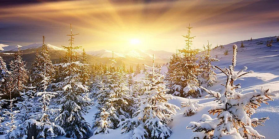 Днес денят е най-кратък, празнуваме зимното слънцестоене