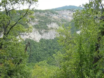 Книга по избор за млади художници