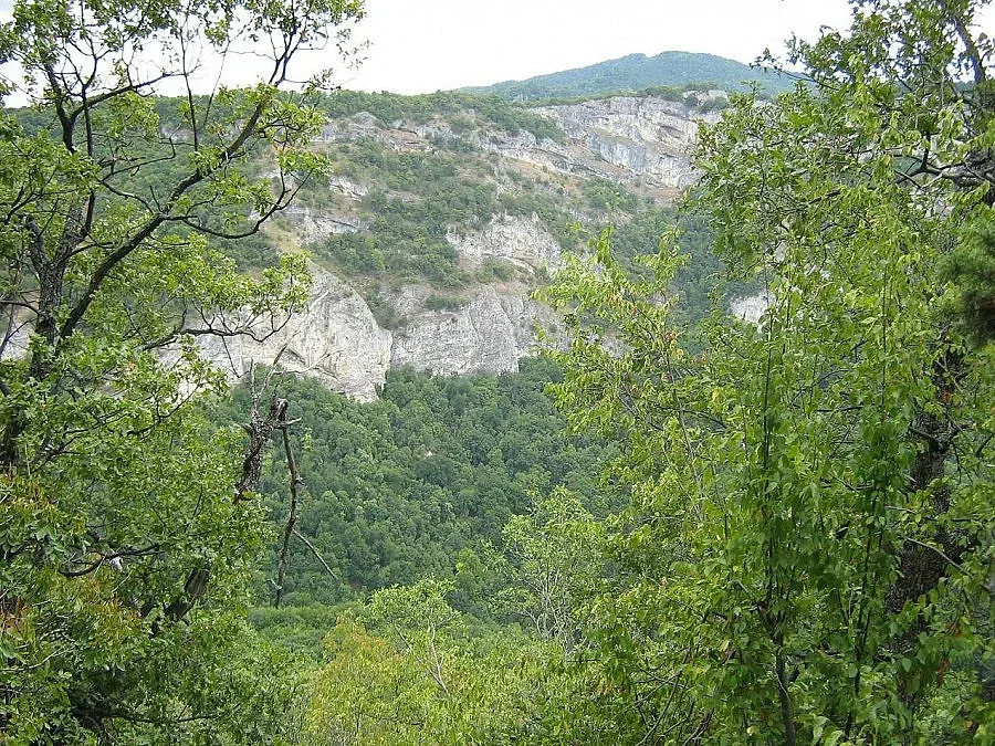 Книга по избор за млади художници