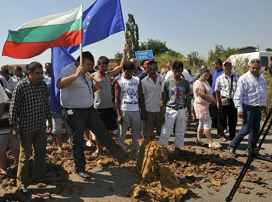 ЕС застрашава родния тютюн