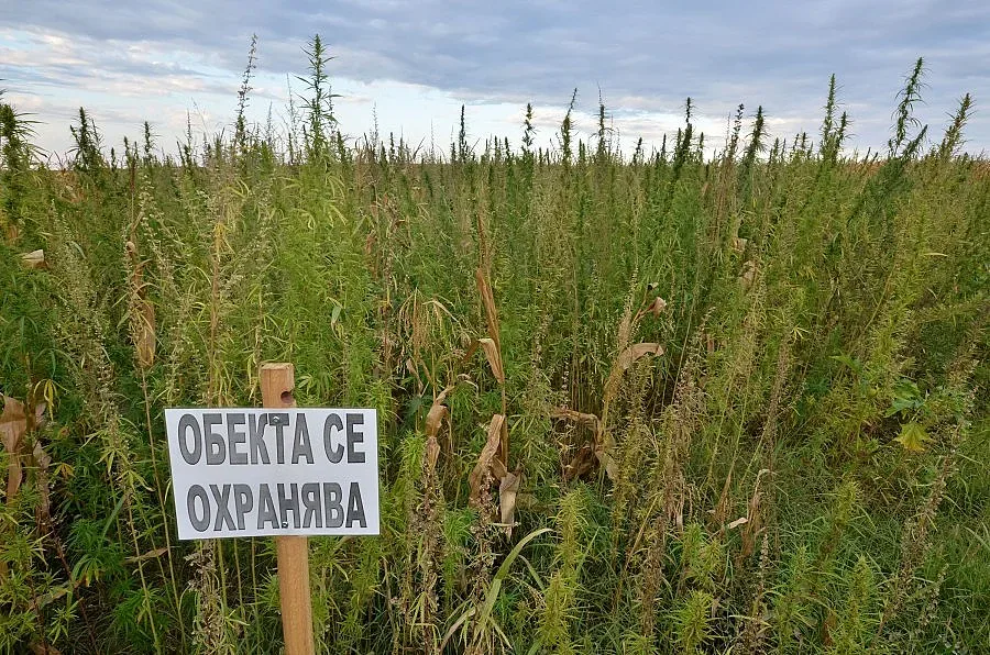 Фонд "Земеделие" одобри проекти за 55,2 млн. лв.