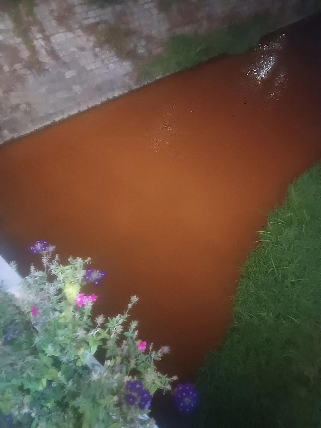 Снимка на наша голяма река ужаси хората!