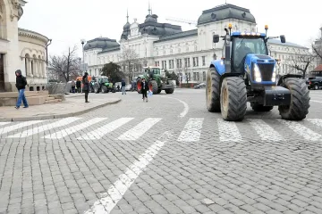 Животновъди чакат 15 млн. лв. коледен подарък