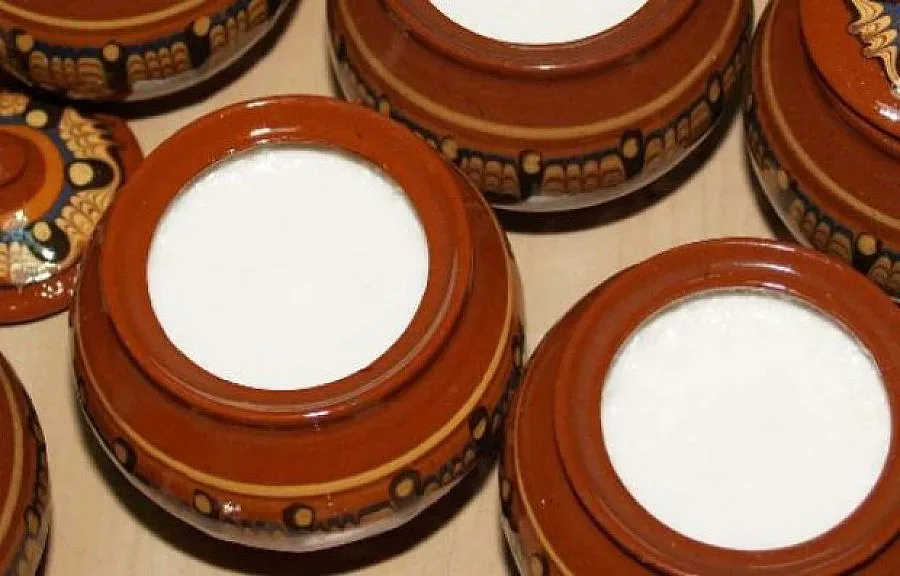 Студент открил лактобацилус булгарикус