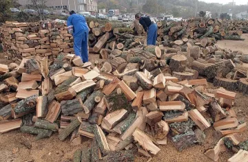 Конфискуваха 10 каруци с незаконни дърва за огрев