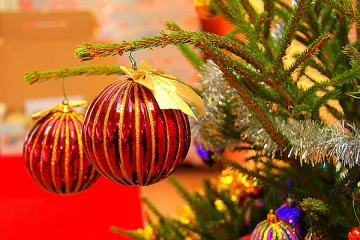 Коледни приключения със "Стандарт"