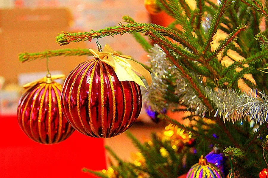 Коледни приключения със "Стандарт"