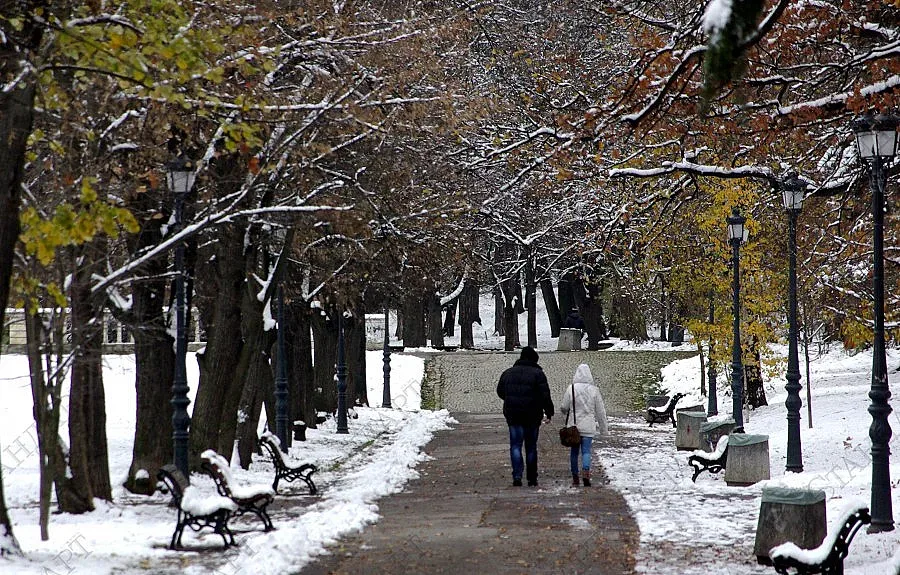 Слаби снеговалежи в Източна България в четвъртък