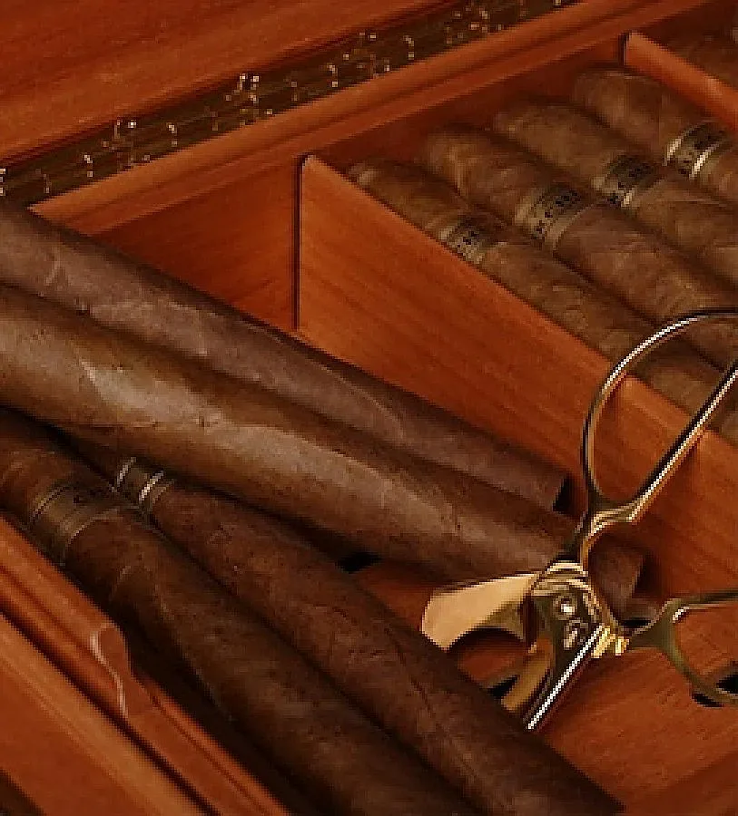 Стая за пушене e новата мания