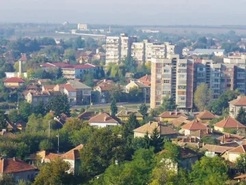 Жена и близнаците й задържаха крадец