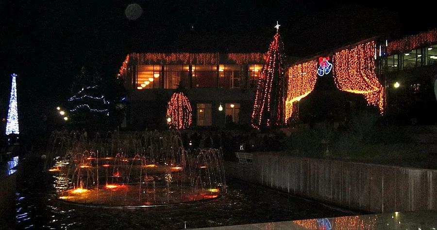 Две елхи грейнаха в Сандански