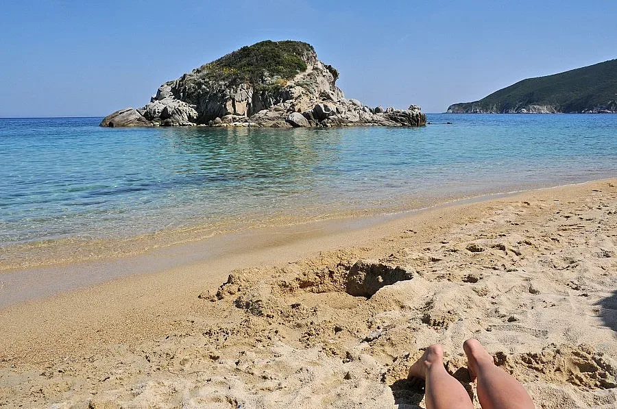 Такса "палатка"