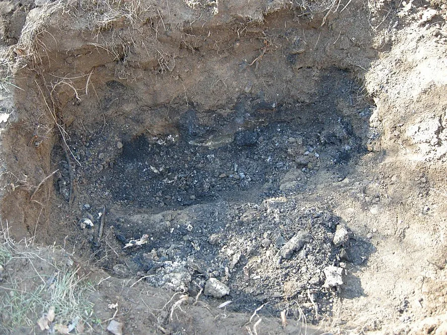 Касапинът от Хасково палил разчленената си жертва