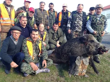 Уцелиха 350-килограмов глиган