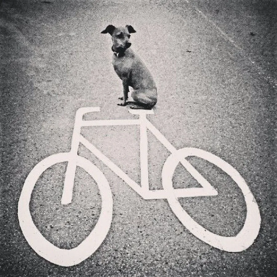 Първият клип със снимки от Инстаграм (Видео)