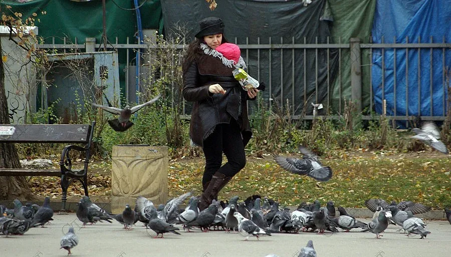  Жълт код за силен вятър в страната