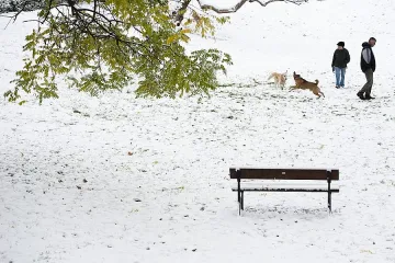 Ветровито и в неделя