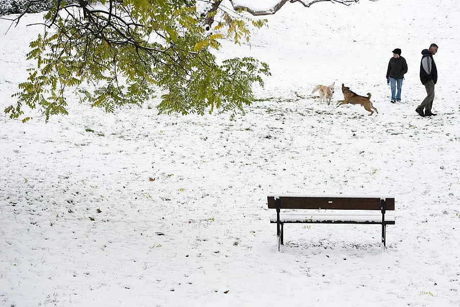 Ветровито и в неделя