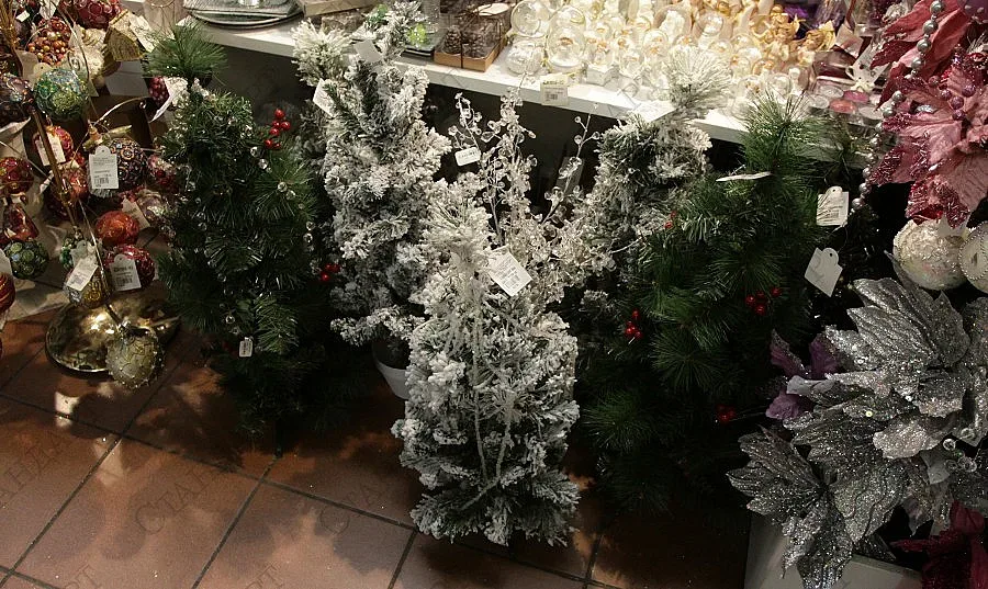 Благотворителен търг за елхи в Румъния