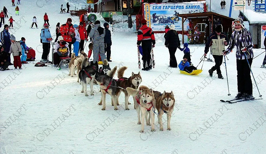 Пампорово открива ски сезона