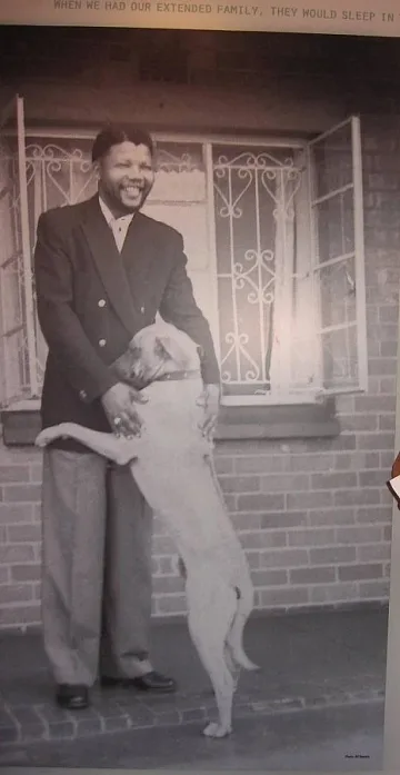 В дома на Мандела пазят извинението на Буш