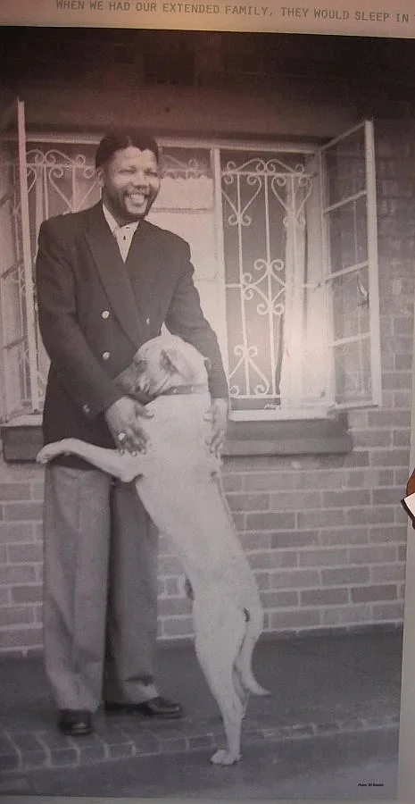 В дома на Мандела пазят извинението на Буш