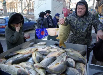 Бракониери нахраниха сираци 