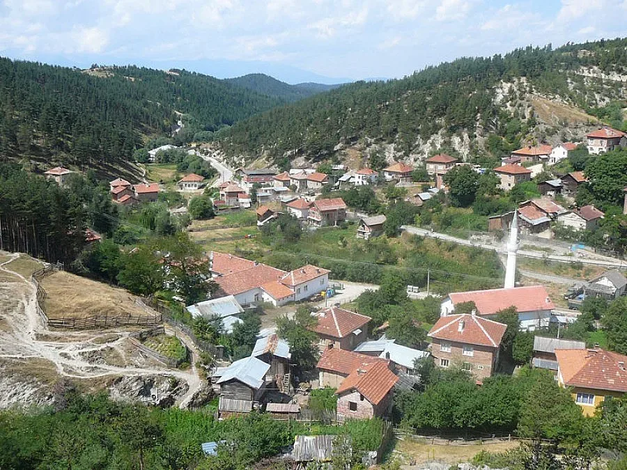 Арестуваха дървен бос за крадена дървесина